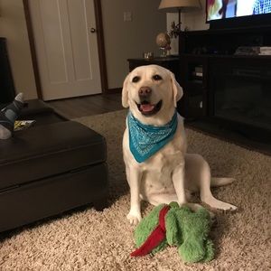 Meet your Posher, Charlie